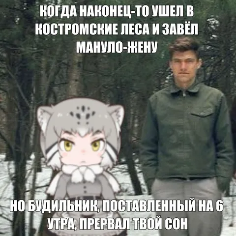 Будильник прервал сон
