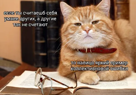 Кот и коллективная ошибка