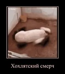 Хохлятский смерч