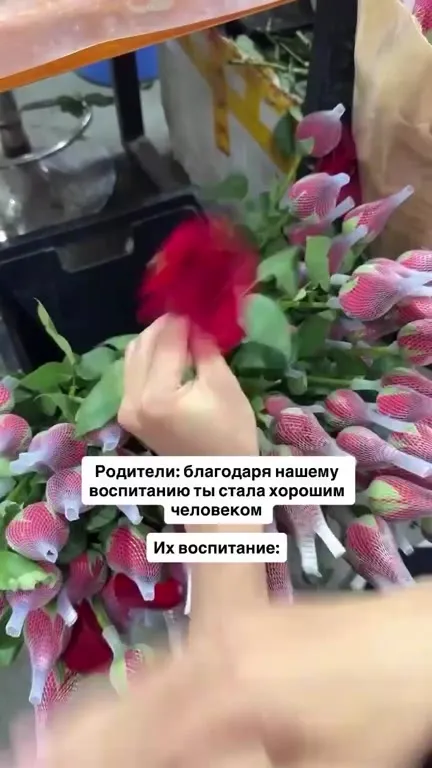 Вот чему их воспитание научило