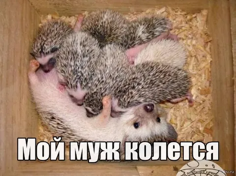 Мой муж колется