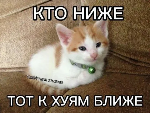 Кто ниже, тот к хуям ближе