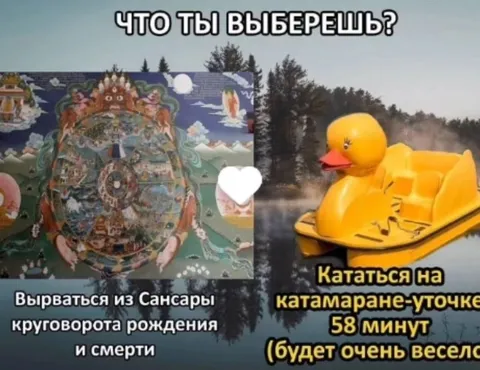 Что ты выберешь: сансара или уточка