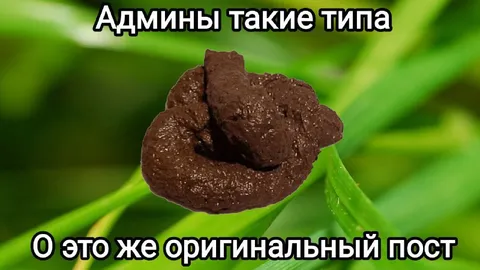 Админы и оригинальный пост