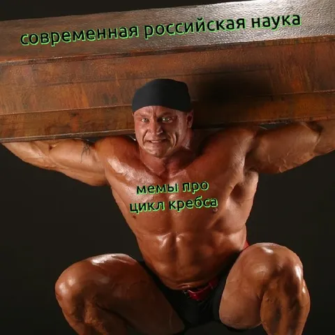 Современная наука и цикл Кребса