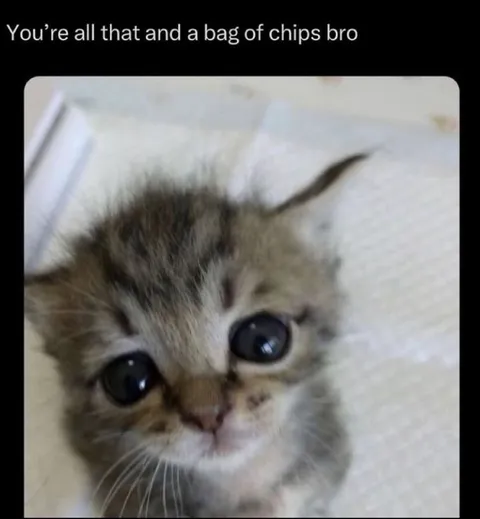 All That and a Bag of Chips