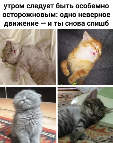 Осторожно, снова уснёшь