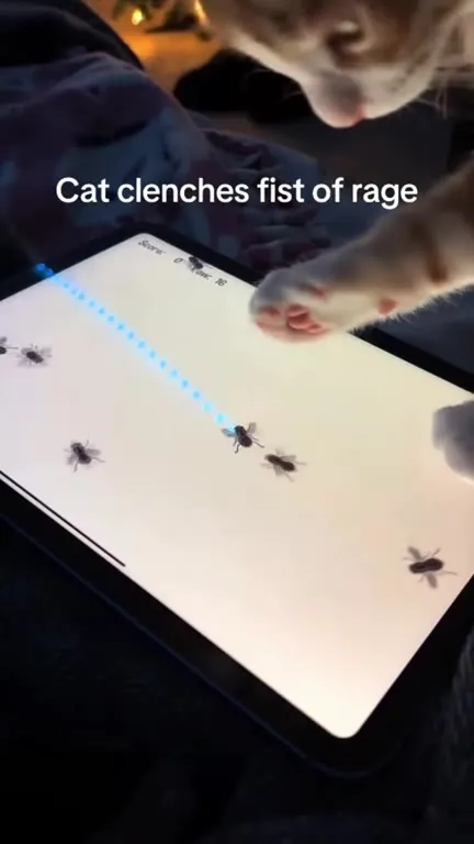 Cat Clenches Fist at Bugs