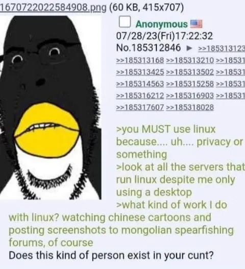 Linux User Watches Chinese Cartoons