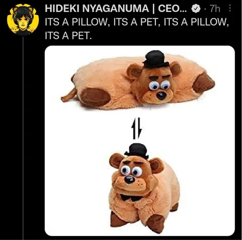 It’s a Pillow, It’s a Pet