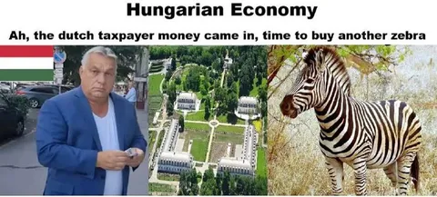 Hungarian Economy Buys Zebras