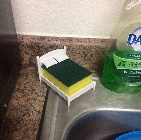 Sponge Sleeping in a Tiny Bed