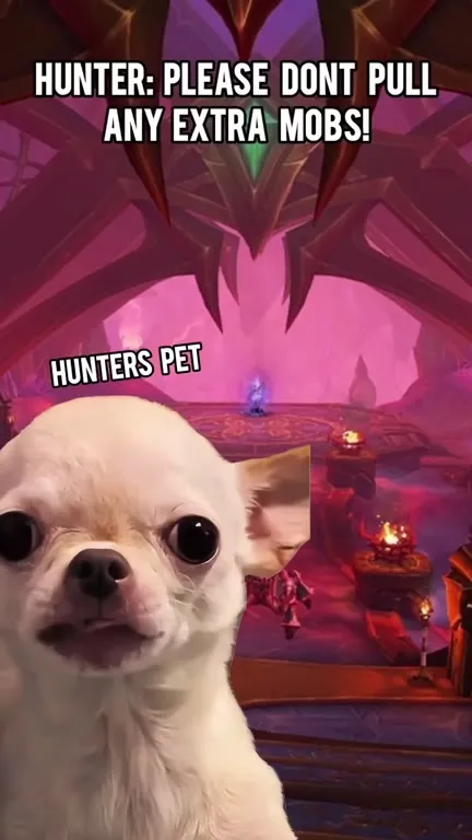 Hunter's Pet Pulls Every Mob