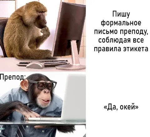 Формальное письмо преподу