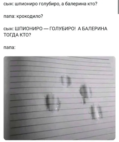 Шпиониро, голубиро и балерина