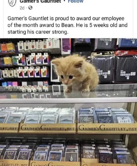 Employee of the Month Bean