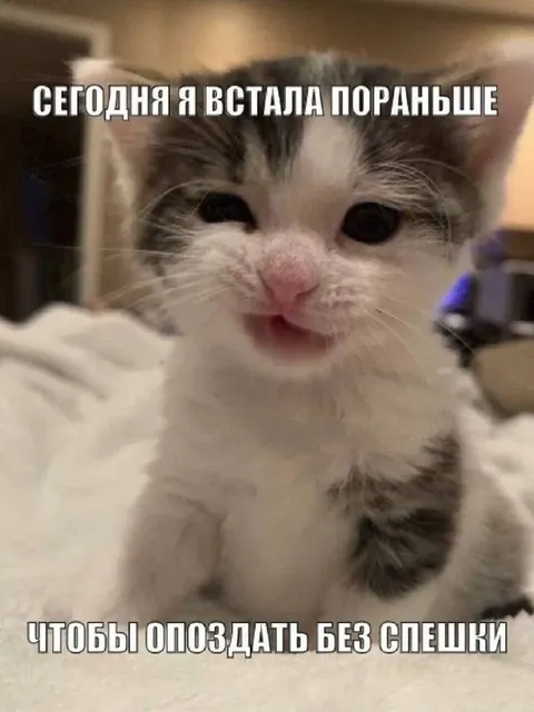 Встала пораньше, чтобы опоздать