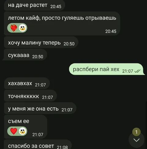 Малина на даче