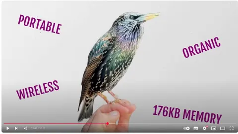 Portable Organic Wireless Bird