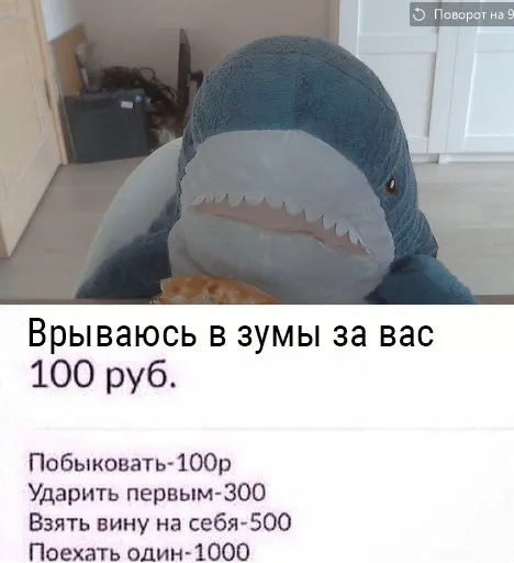 Врываюсь в зумы за вас