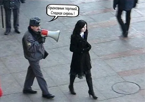 Крыжовник и сладкая сирень