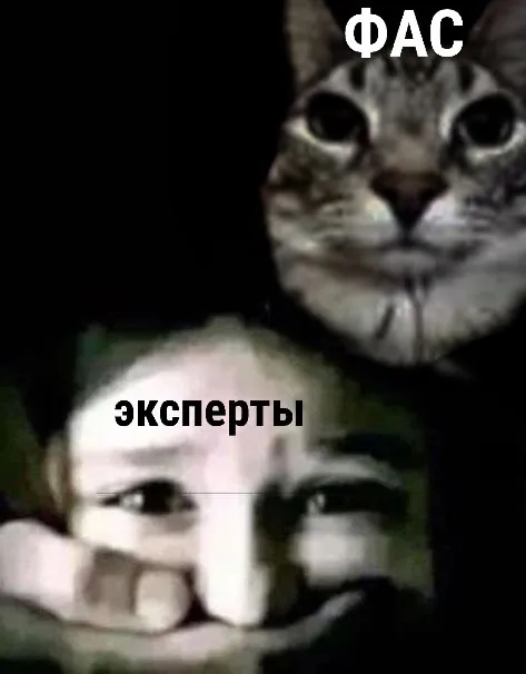 ФАС и эксперты
