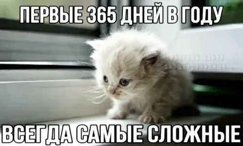 Первые 365 дней самые сложные
