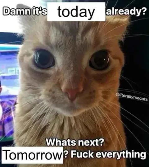 Tomorrow? Fuck Everything