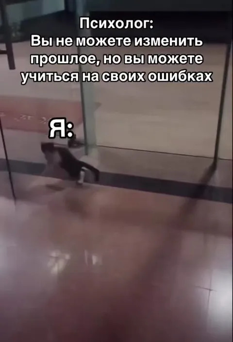 Кот не учится на ошибках