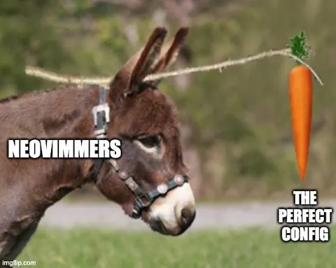 Neovimmers Perfect Config