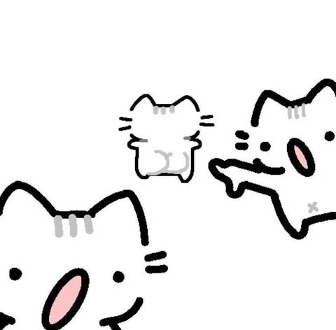 Котики выглядывают из-за края
