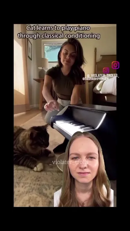 Cat Plays Piano at 2 AM