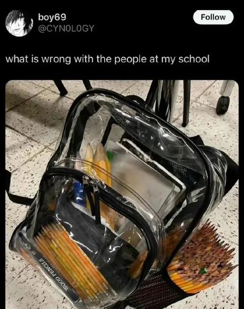 What Is Wrong With My School