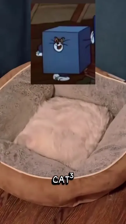 CAT³ Hidden in Plain Sight