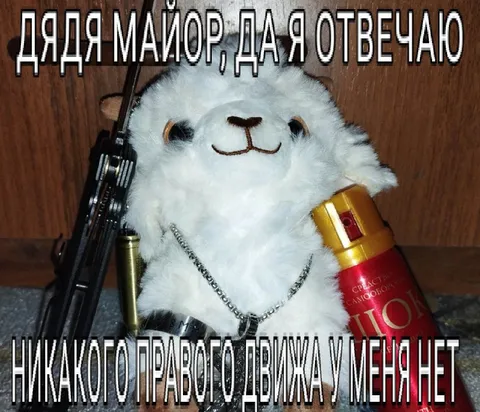 Дядя майор, да я отвечаю