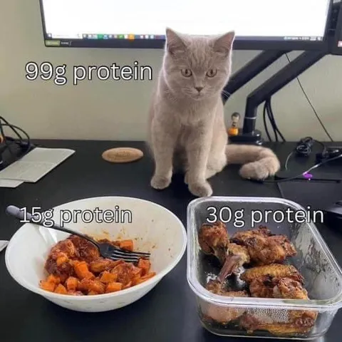Cat With 99g Protein