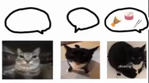 Cats Sing Who Can It Be Now?