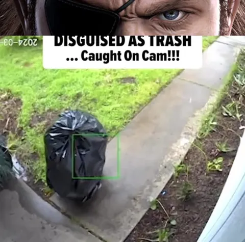 Disguised as Trash Caught on Camera