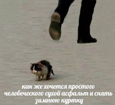 Хочется сухого асфальта