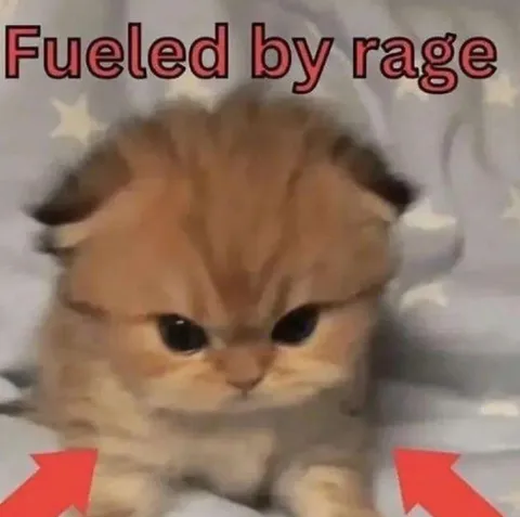 Fueled by Rage Kitten
