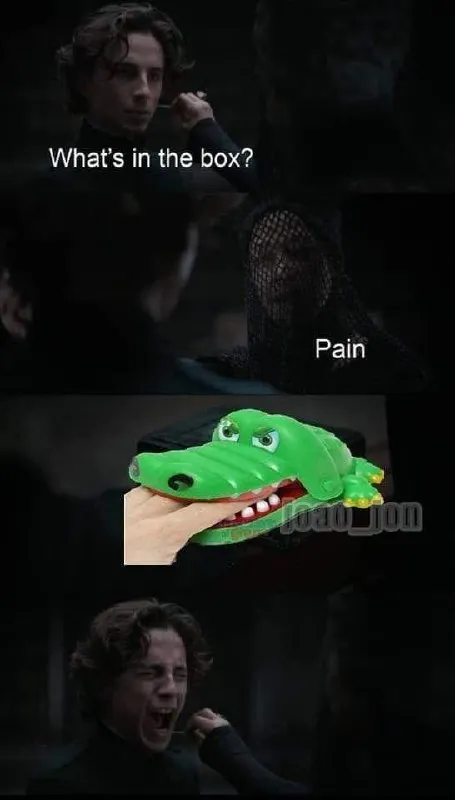 What's in the Box? Pain