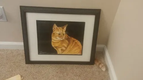 Кот за картиной