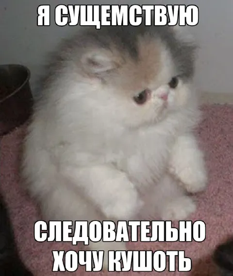 Я существую, следовательно хочу кушать