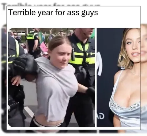 Terrible Year for Ass Guys