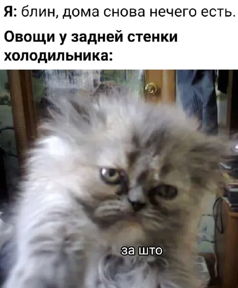 Овощи у задней стенки холодильника