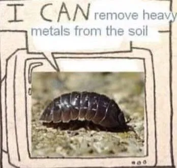 I Can Remove Heavy Metals