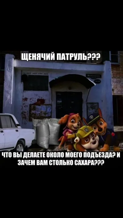 Щенячий патруль у подъезда