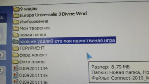 Папа не удаляй игру