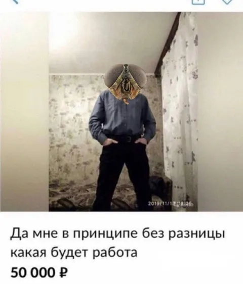 Любая работа за 50 тысяч