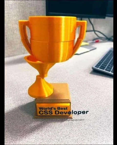 World's Best CSS Developer Trophy